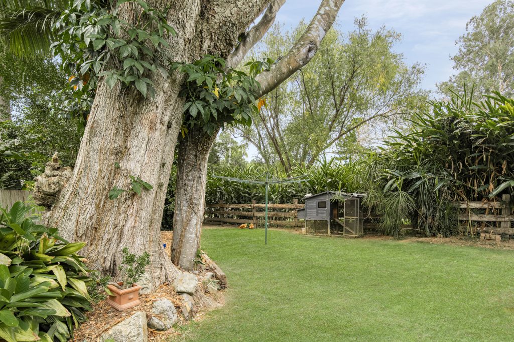 Sold - 3 Dowle Street - New Property in Bellingen - Real Estate by Troy Pinder