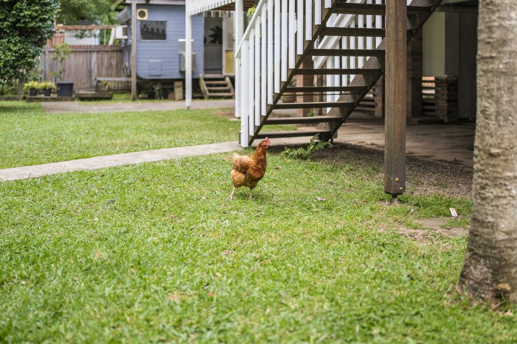 Sold - 3 Dowle Street - New Property in Bellingen - Real Estate by Troy Pinder