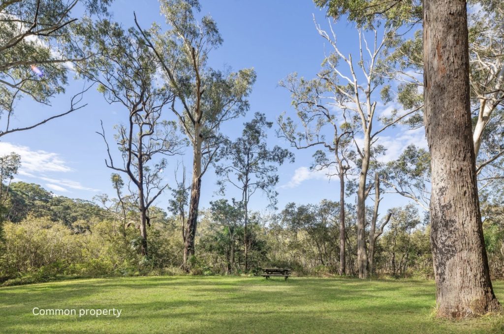 For Sale - 539 Pacific Highway - New Property in Boambee - Real Estate by Rebecca Harrington
