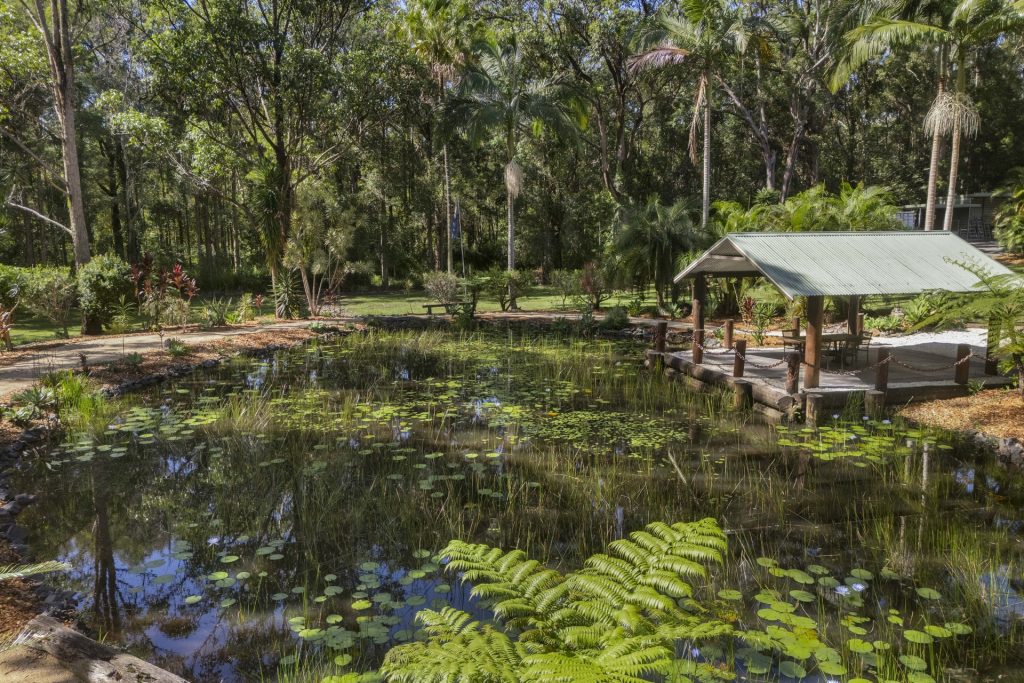 For Sale - 93 Grandis Road - New Property in Bonville - Real Estate by Rebecca Harrington