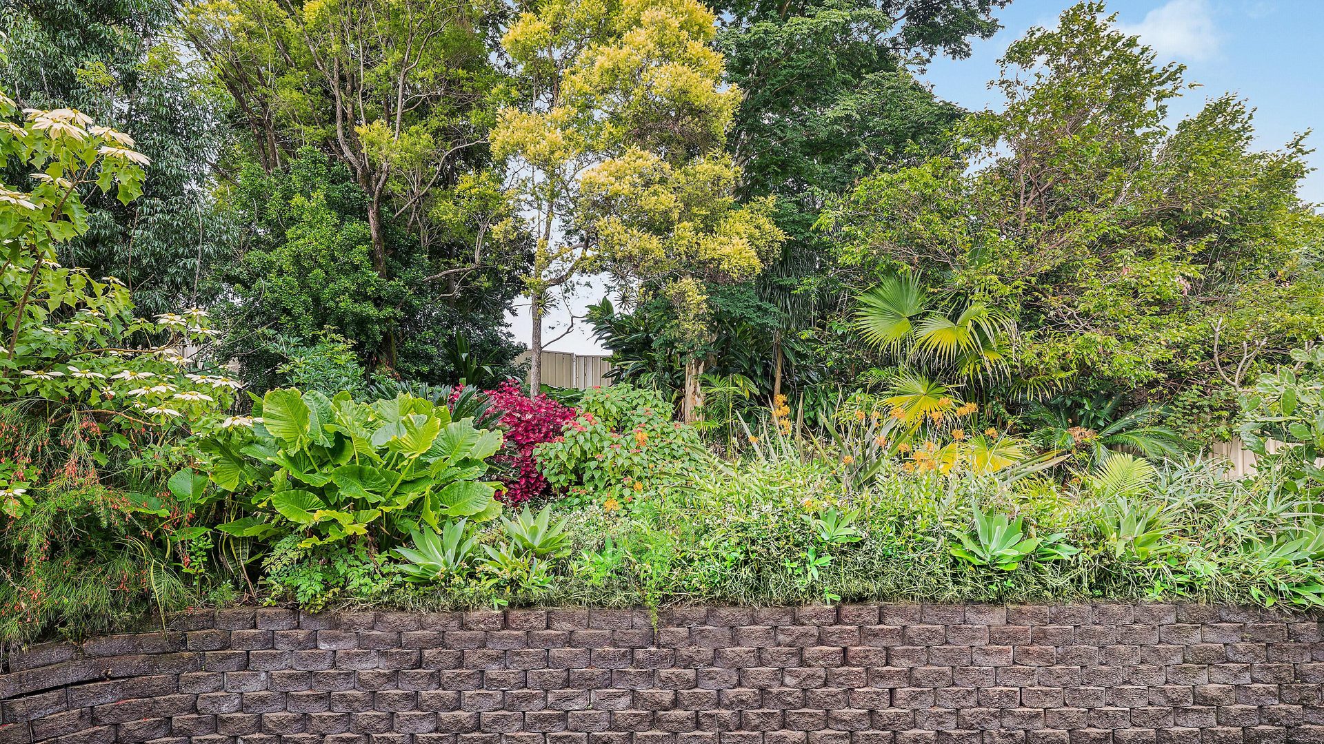 For Sale - 1/42 De Castella Drive - New Property in Boambee East - Real Estate by Rebecca Harrington