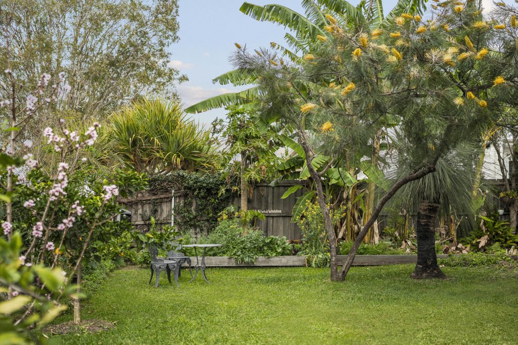 Auction - 15 Seventeenth Avenue - New Property in Sawtell - Real Estate by Rebecca Harrington