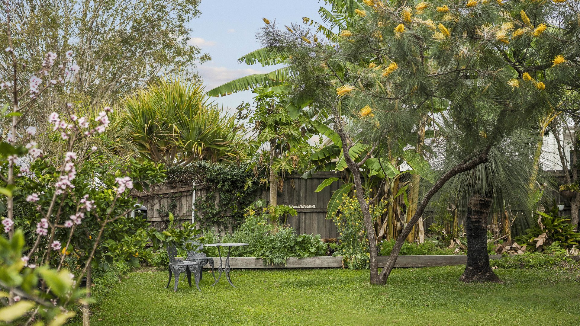 Auction - 15 Seventeenth Avenue - New Property in Sawtell - Real Estate by Rebecca Harrington