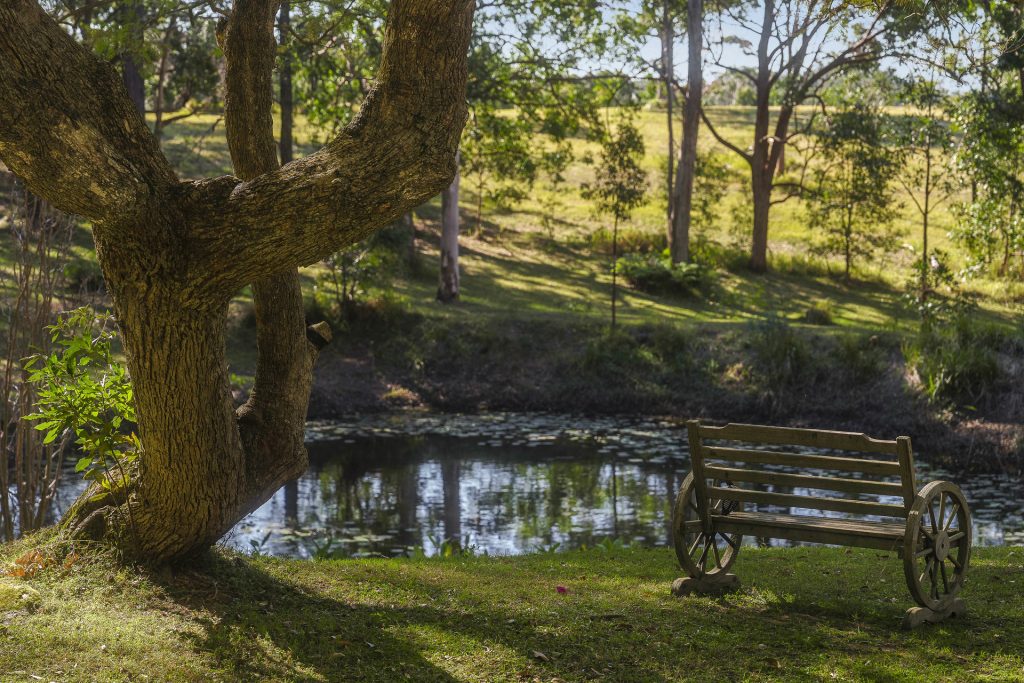 Sold - 160 Bark Hut Road - New Property in Woolgoolga - Real Estate by Tom Coombes