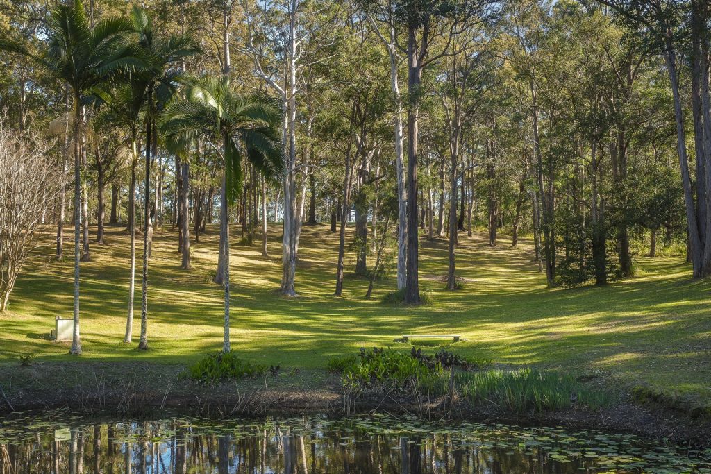 Sold - 160 Bark Hut Road - New Property in Woolgoolga - Real Estate by Tom Coombes