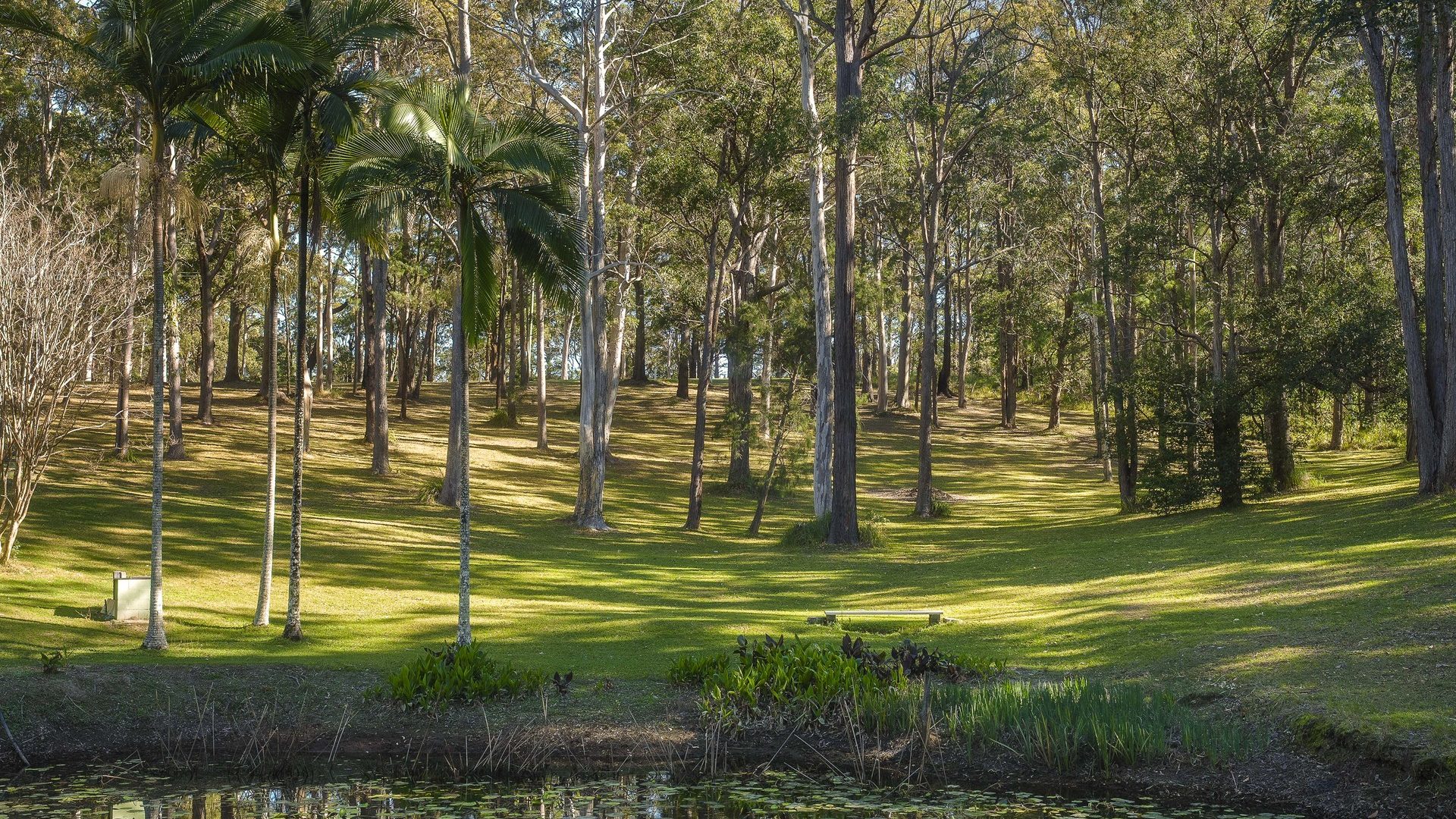 Sold - 160 Bark Hut Road - New Property in Woolgoolga - Real Estate by Tom Coombes