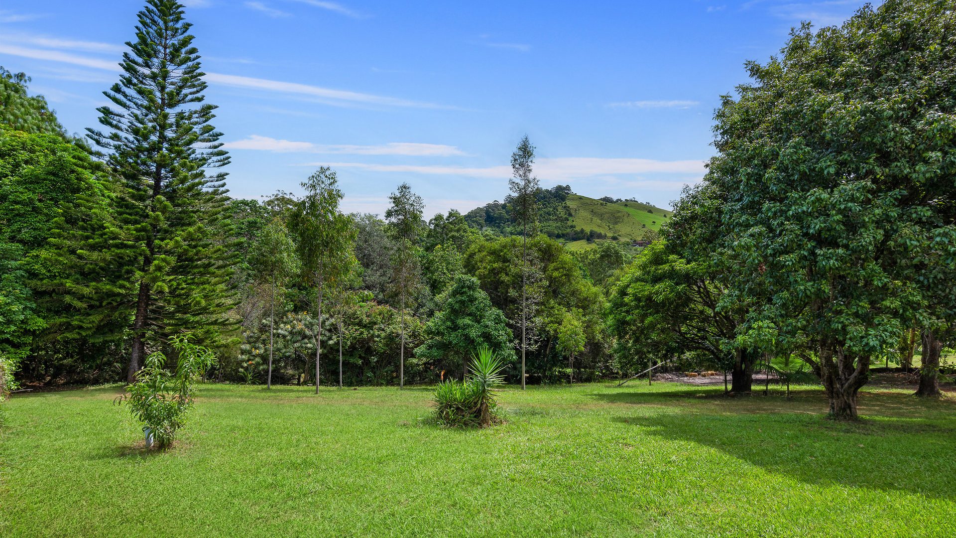 For Sale - 8 SeaBreeze Place - New Property in Boambee East - Real Estate by Rebecca Harrington