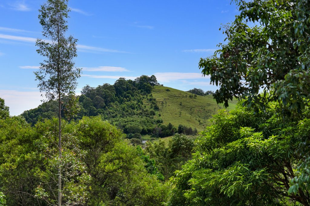 For Sale - 8 SeaBreeze Place - New Property in Boambee East - Real Estate by Rebecca Harrington