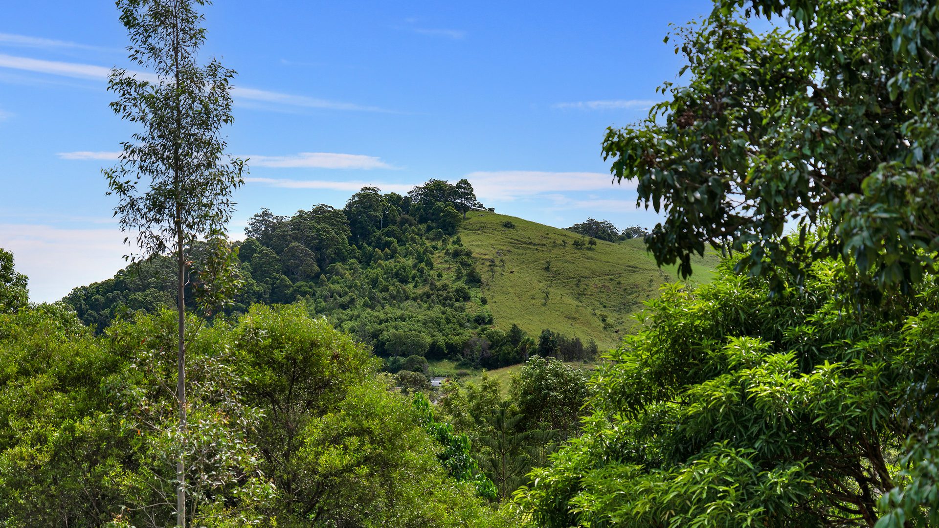 For Sale - 8 SeaBreeze Place - New Property in Boambee East - Real Estate by Rebecca Harrington