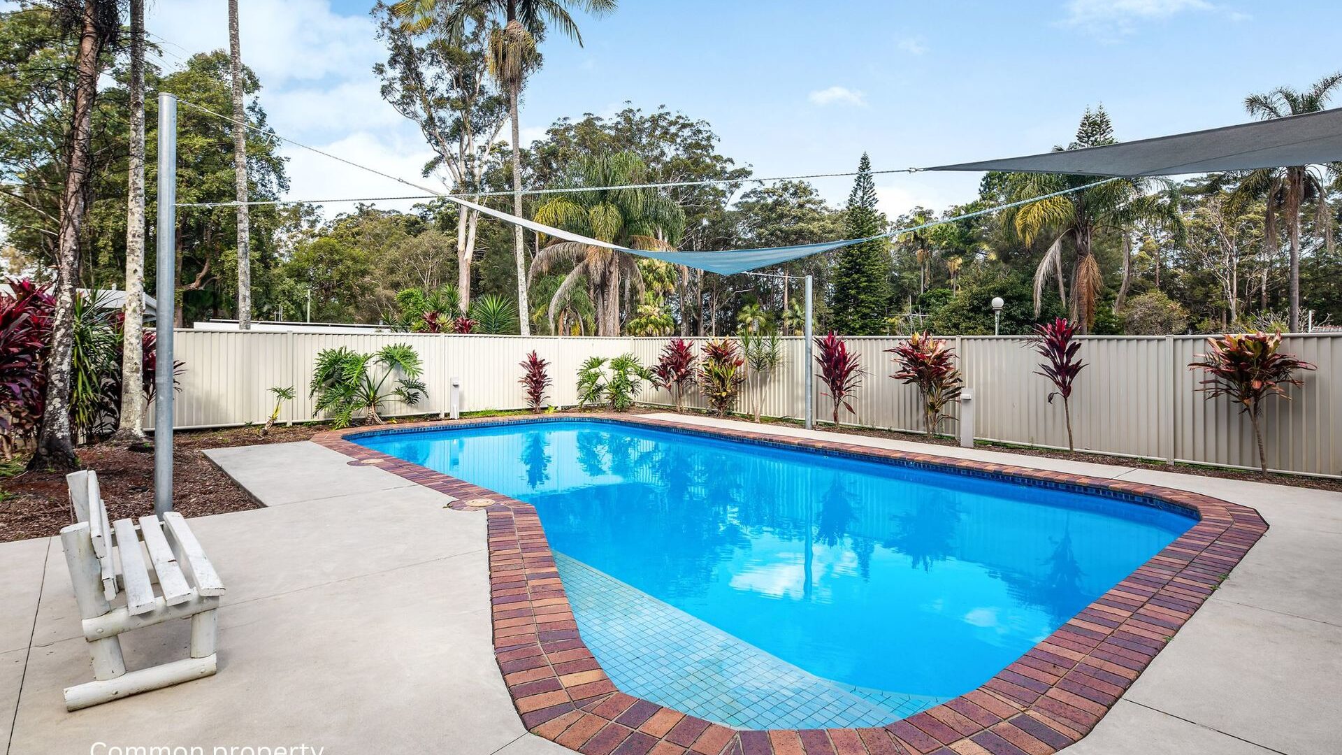 For Sale - 3 & 5/539 Pacific Highway - New Property in Boambee - Real Estate by Rebecca Harrington