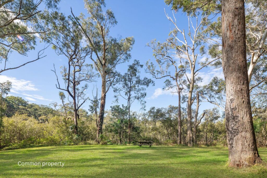 For Sale - 3 & 5/539 Pacific Highway - New Property in Boambee - Real Estate by Rebecca Harrington