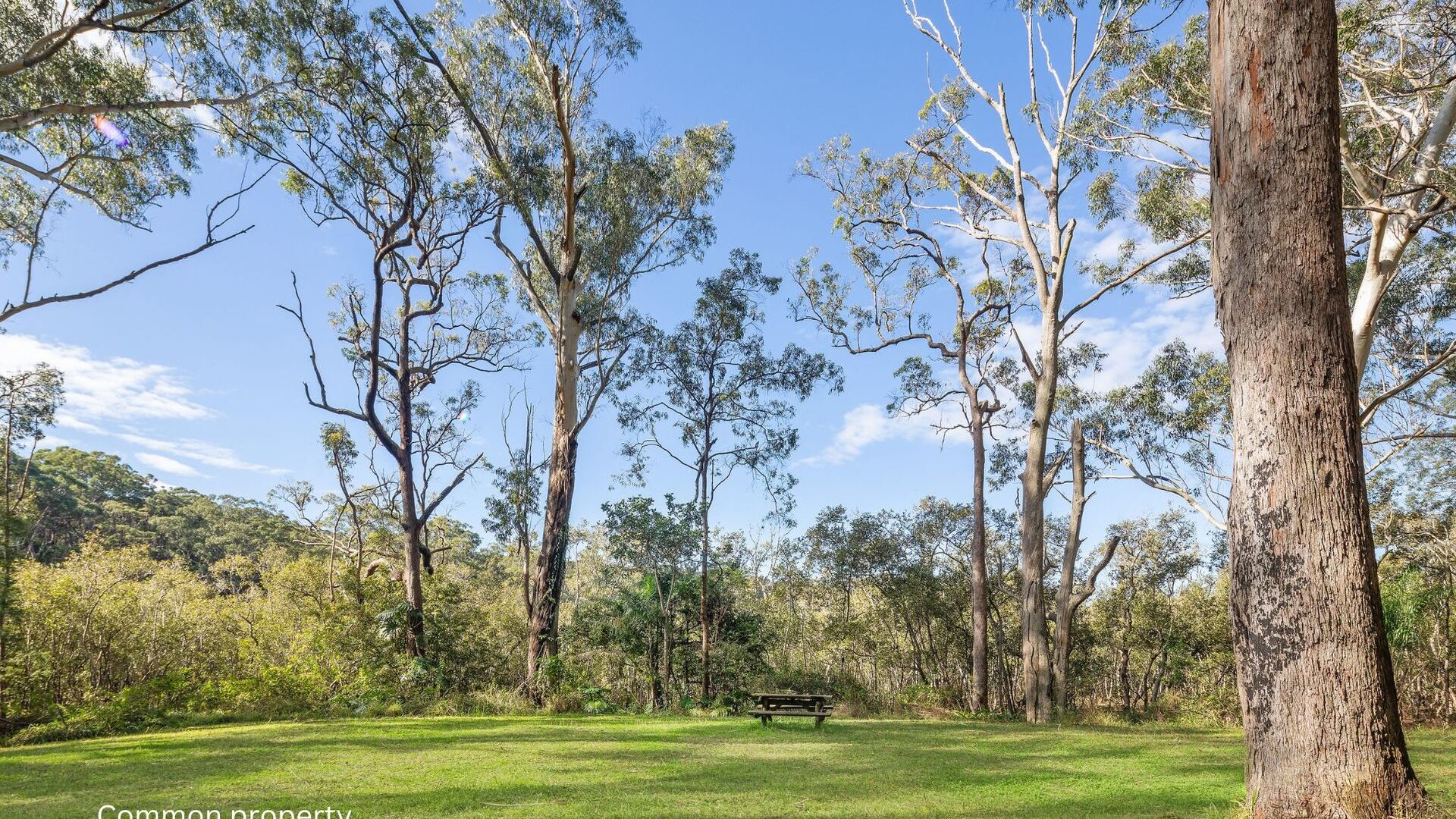 For Sale - 3 & 5/539 Pacific Highway - New Property in Boambee - Real Estate by Rebecca Harrington