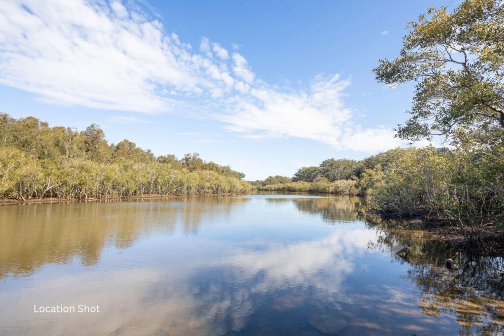For Sale - 3 & 5/539 Pacific Highway - New Property in Boambee - Real Estate by Rebecca Harrington
