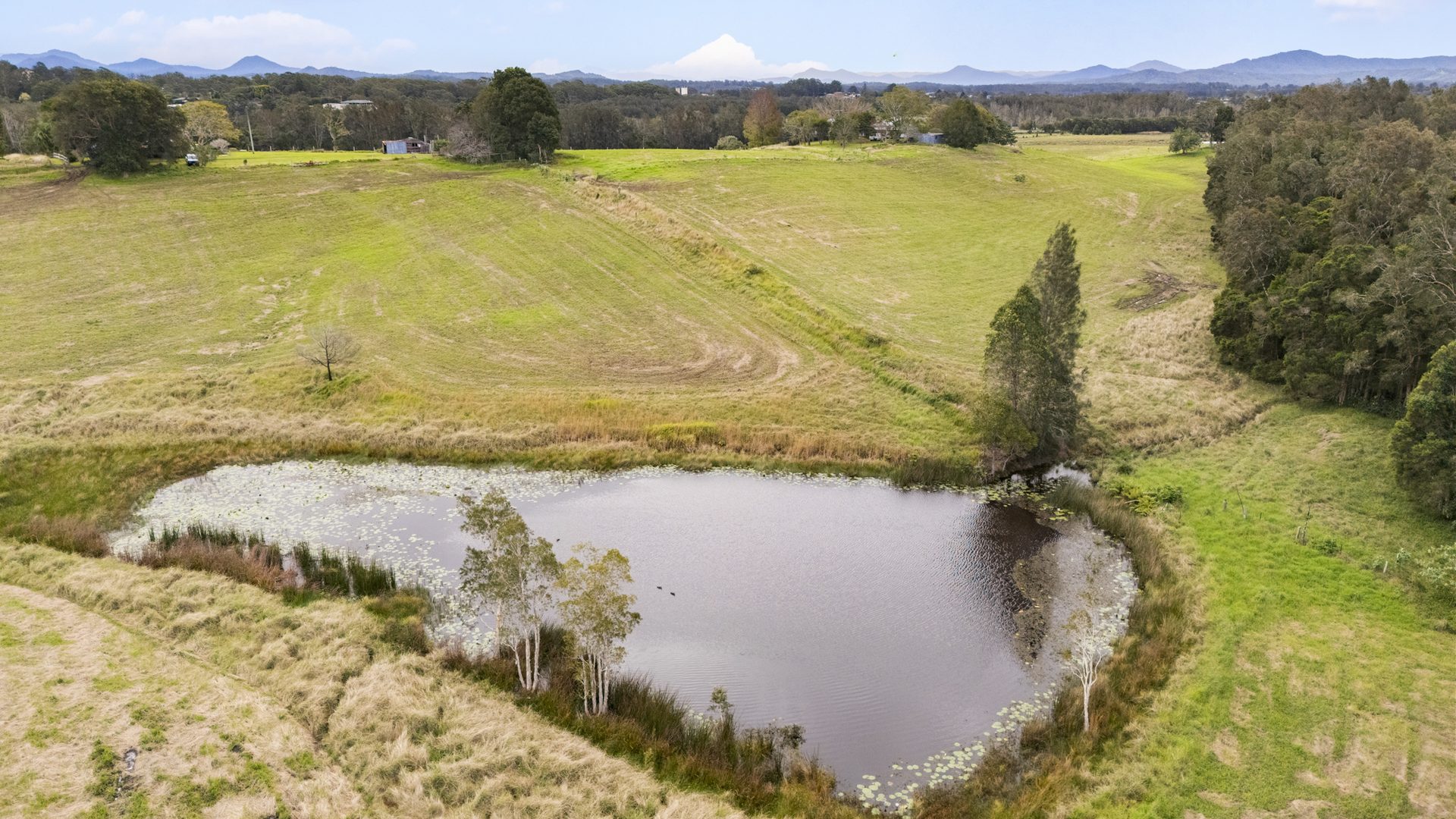 Sold - 117 Bald Hill Road - New Property in Macksville - Real Estate by Ashlee Downton