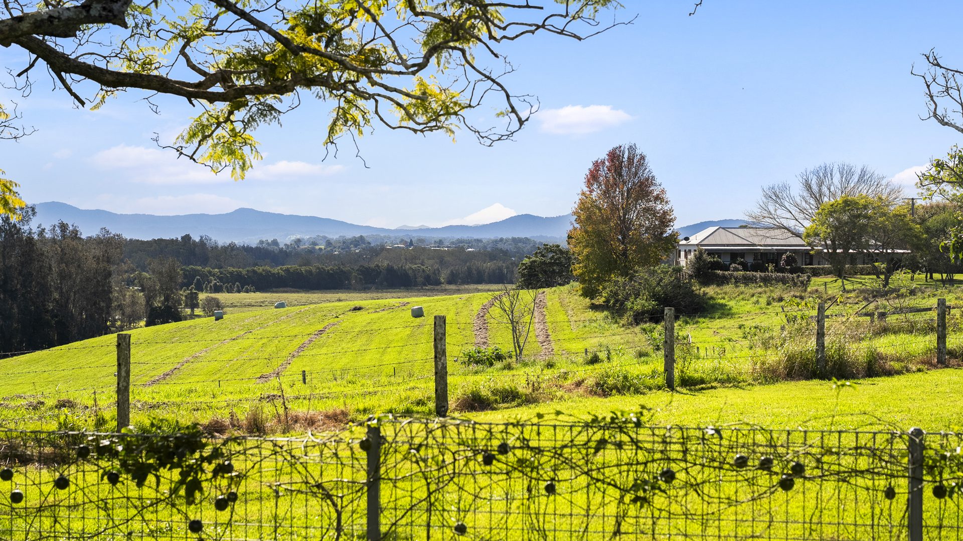 Sold - 117 Bald Hill Road - New Property in Macksville - Real Estate by Ashlee Downton