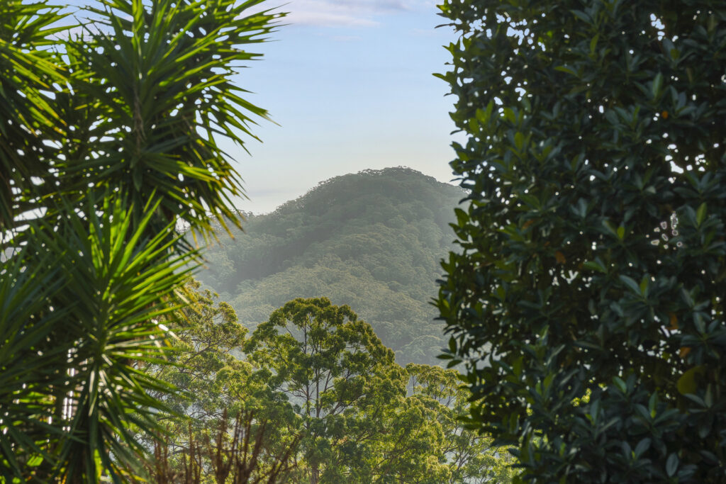 For Sale - 212 Braford Drive - New Property in Bonville - Real Estate by Shayne Long