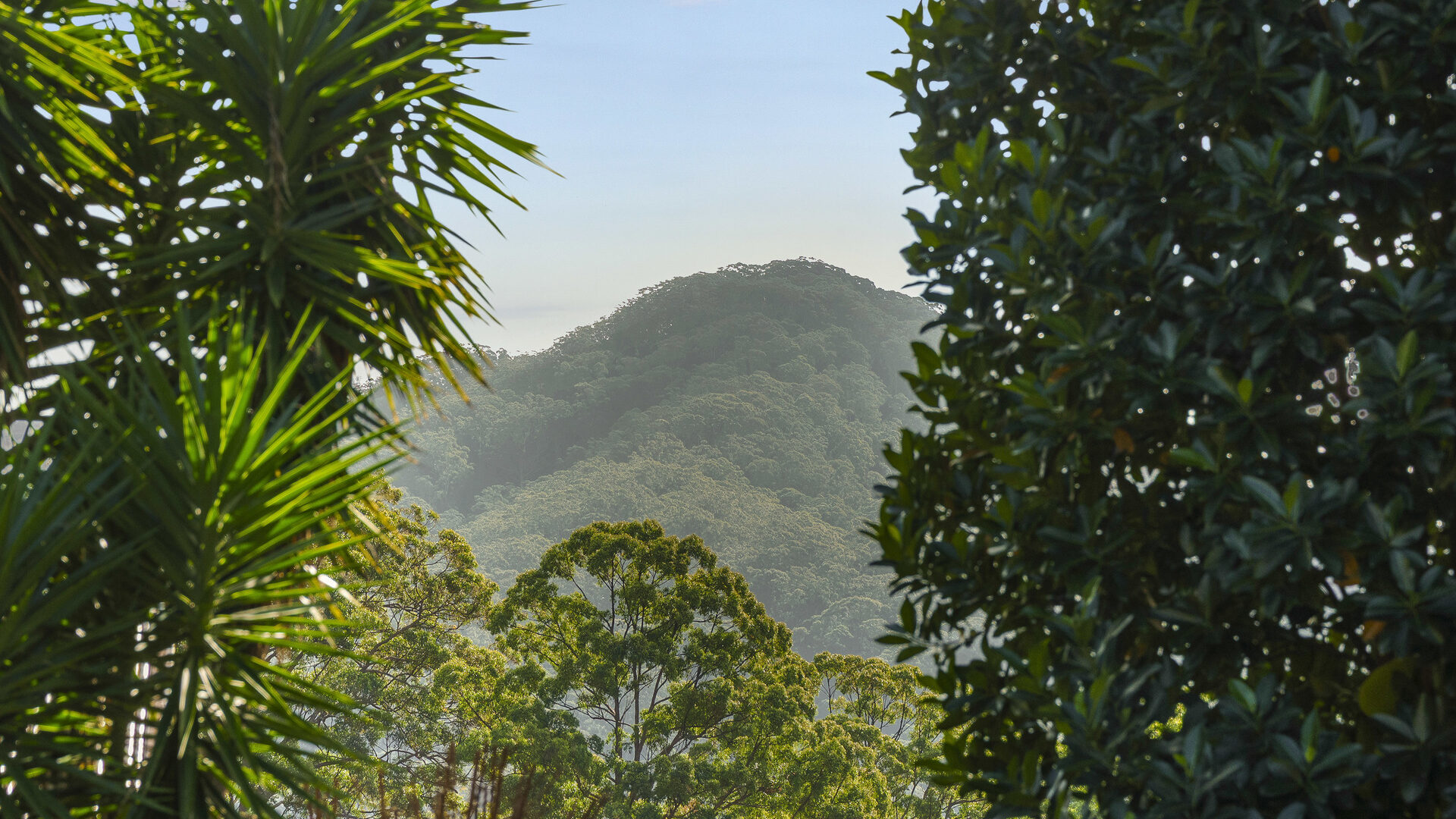 For Sale - 212 Braford Drive - New Property in Bonville - Real Estate by Shayne Long