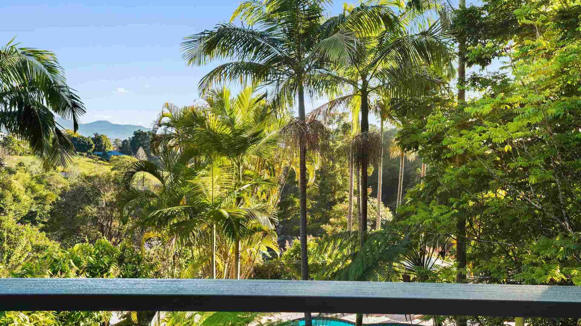 For Sale - 2C Evans Street - New Property in Bellingen - Real Estate by Troy Pinder