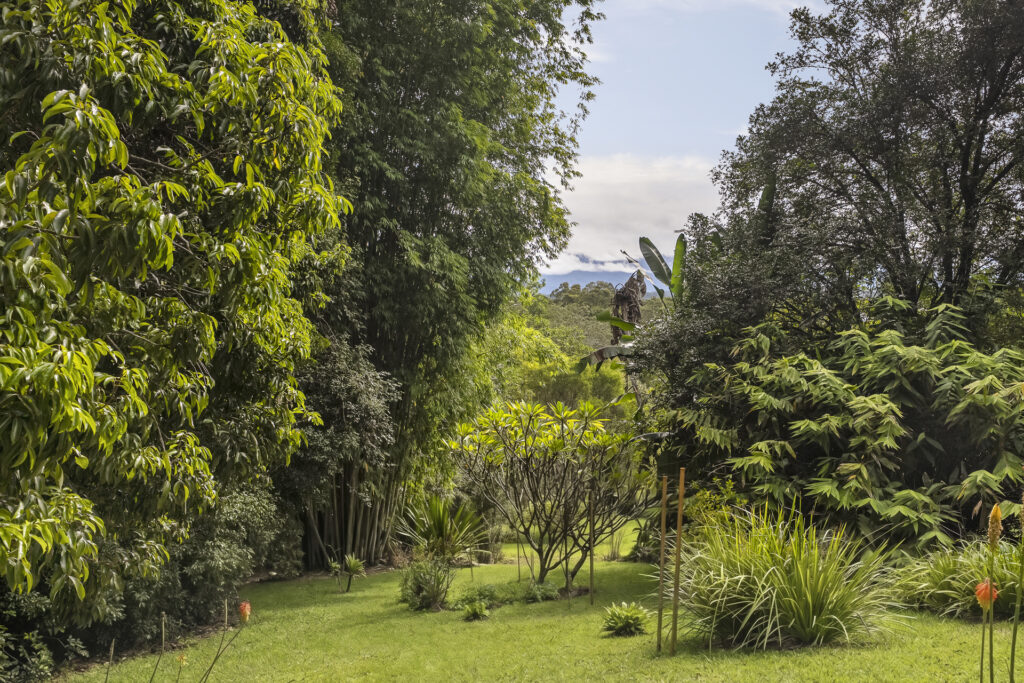 Sold - 26 Endeavour Drive - New Property in Bellingen - Real Estate by Joshua Allen