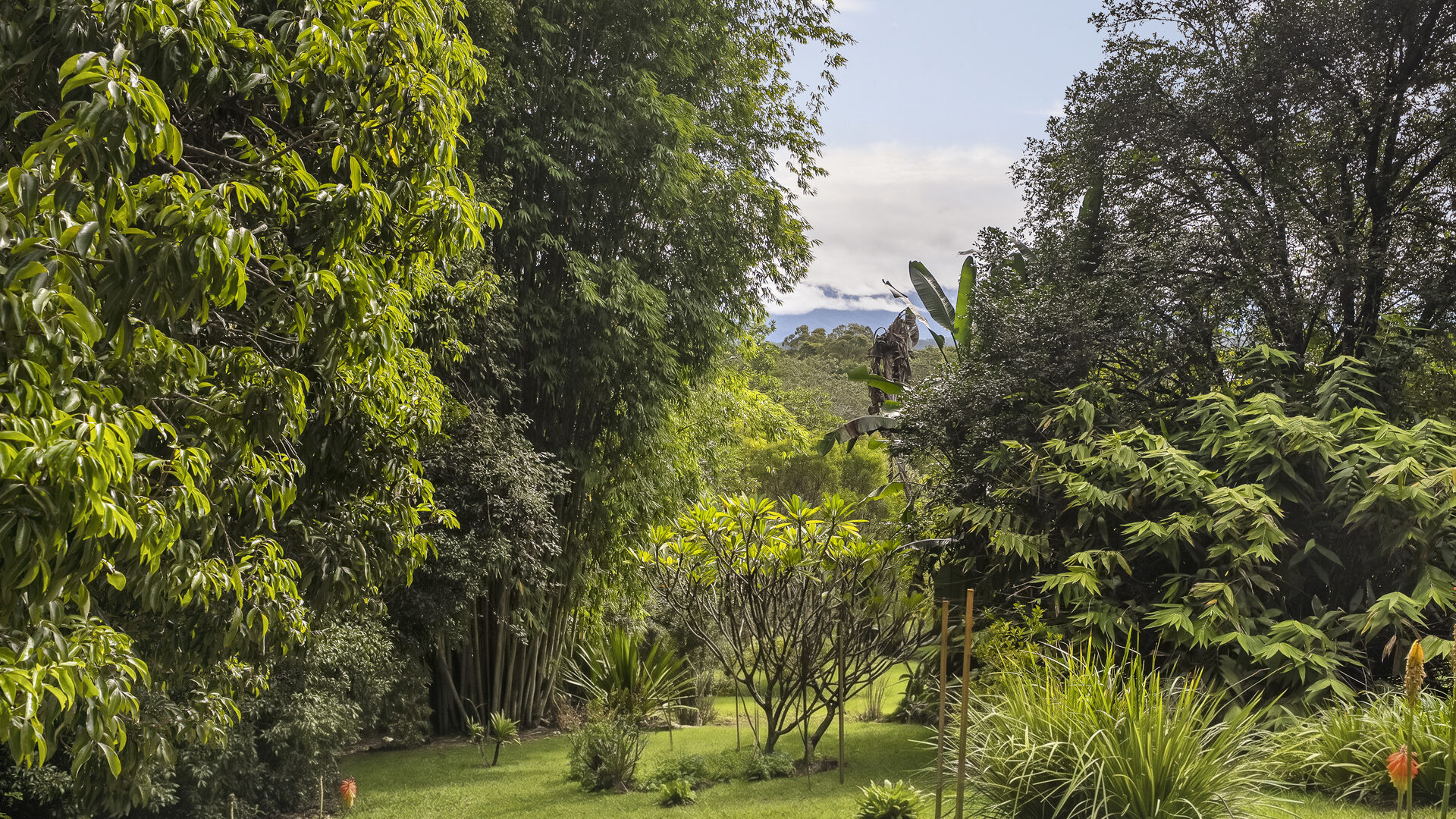 Sold - 26 Endeavour Drive - New Property in Bellingen - Real Estate by Joshua Allen
