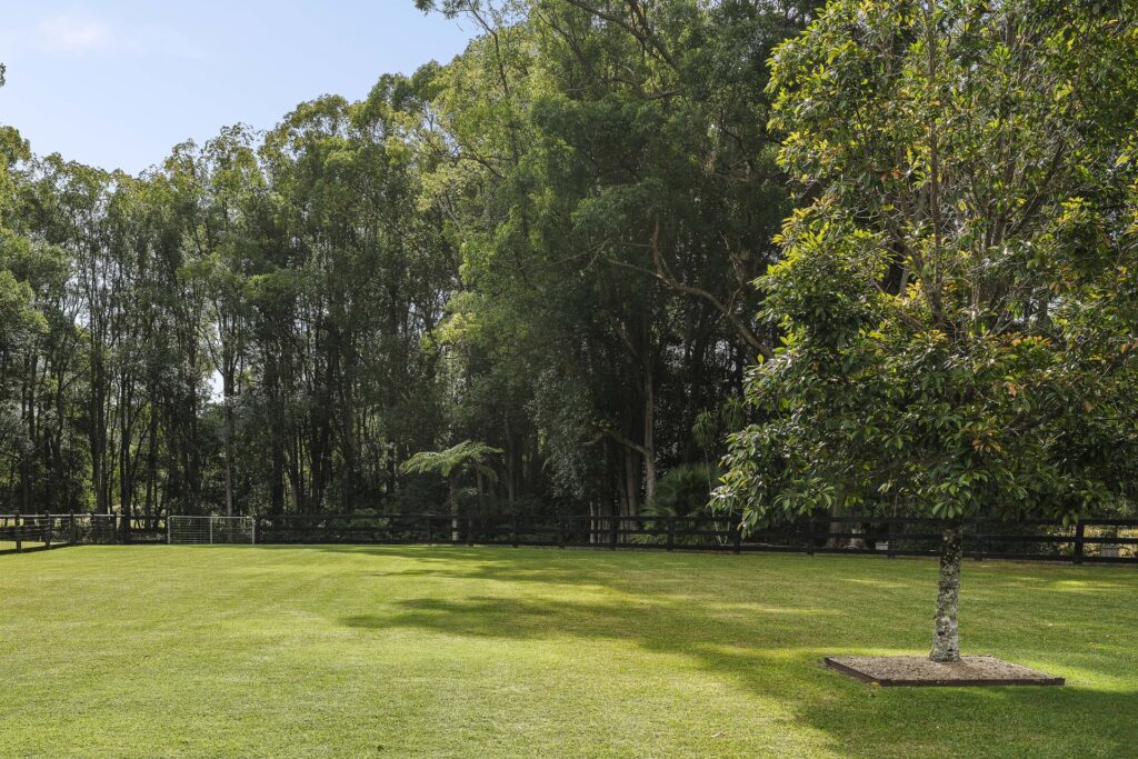 For Sale - 80 Bakker Drive - New Property in Bonville - Real Estate by Shayne Long