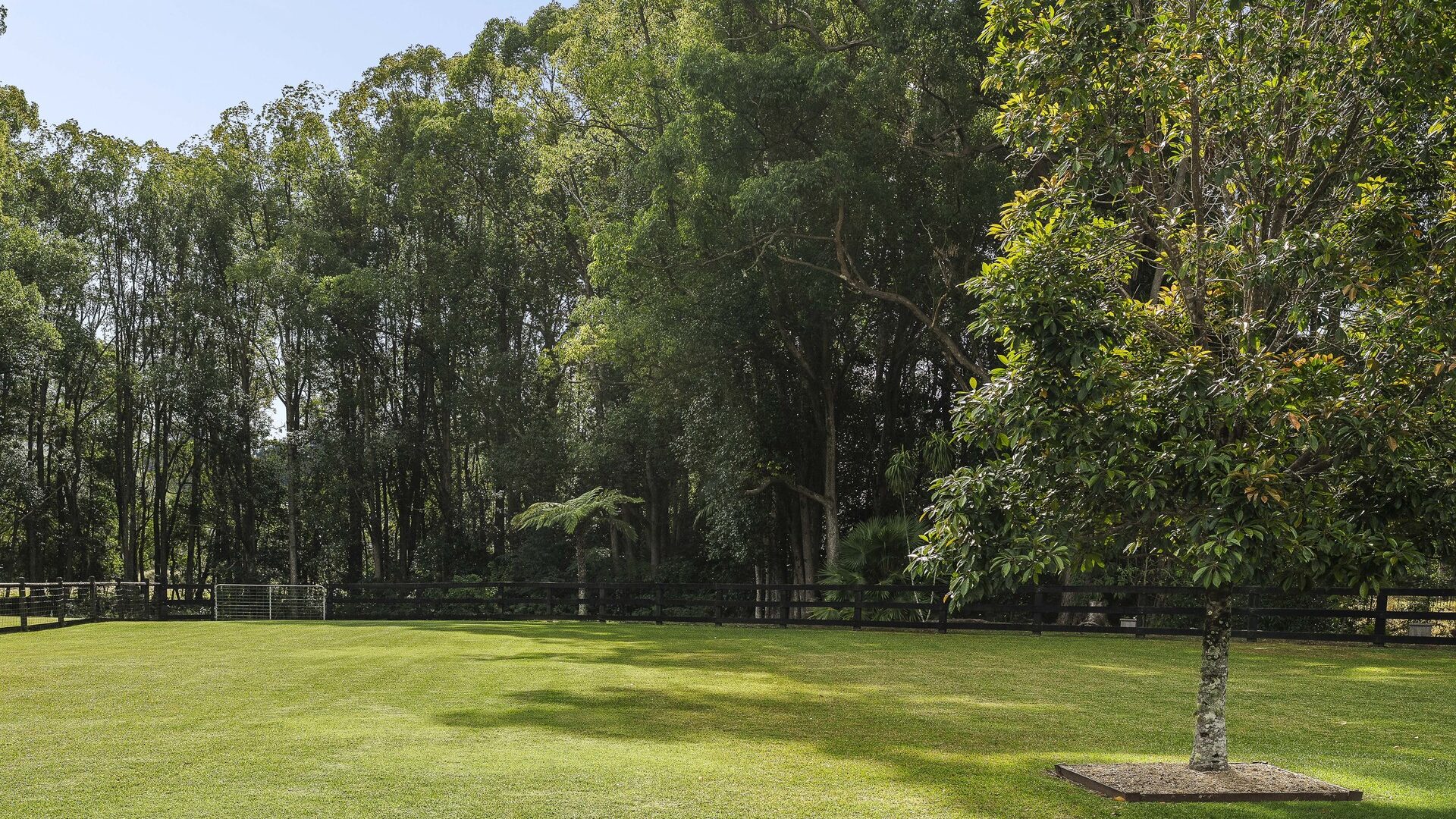 For Sale - 80 Bakker Drive - New Property in Bonville - Real Estate by Shayne Long