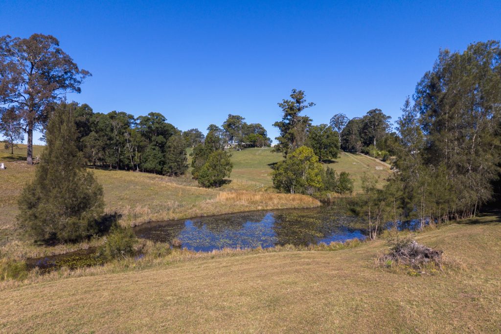 Sold - 309 Lower Buckra Bendinni Road - New Property in Buckra Bendinni - Real Estate by Ashlee Downton