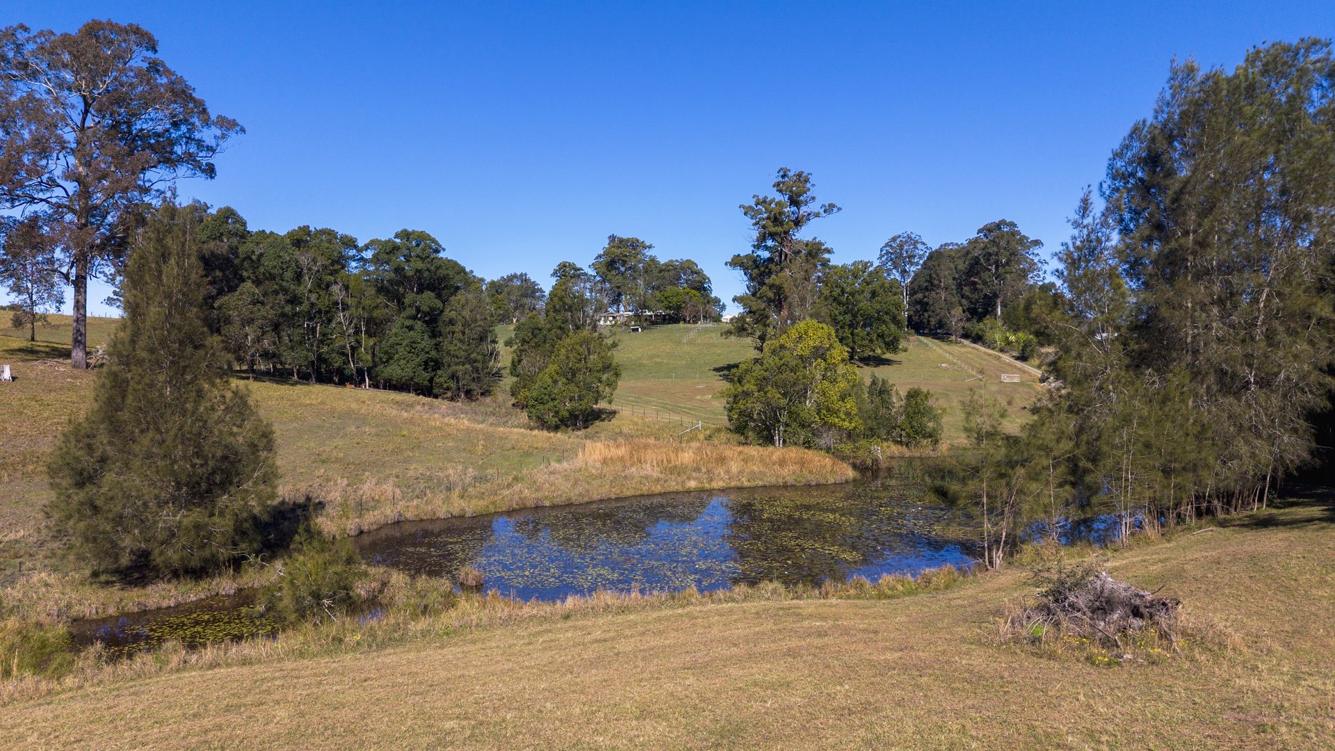 Sold - 309 Lower Buckra Bendinni Road - New Property in Buckra Bendinni - Real Estate by Ashlee Downton