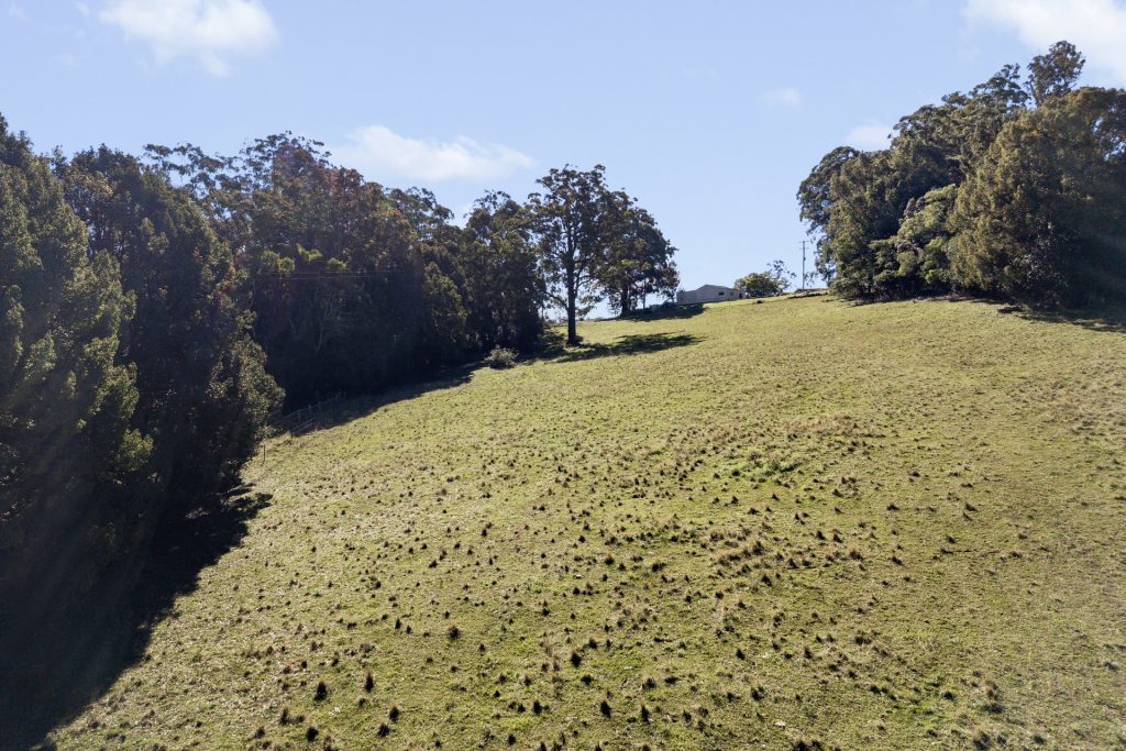 Sold - 309 Lower Buckra Bendinni Road - New Property in Buckra Bendinni - Real Estate by Ashlee Downton