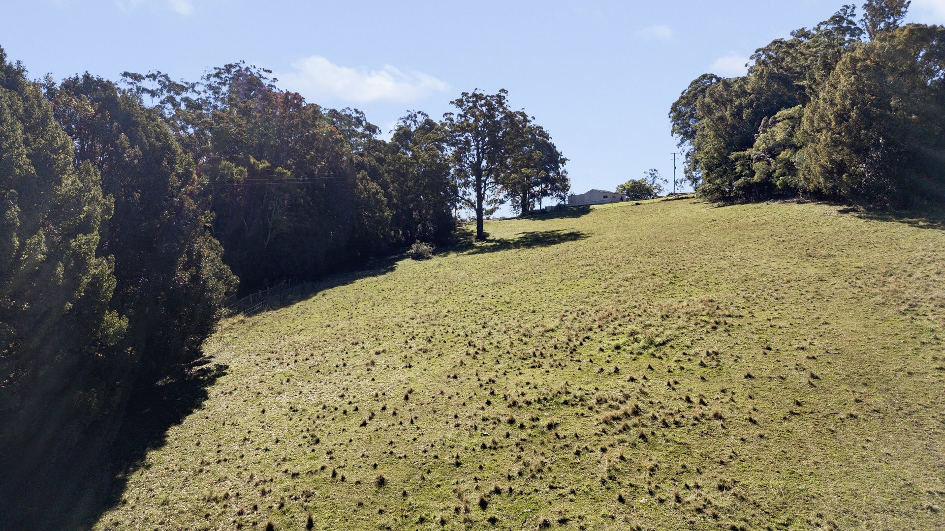 Sold - 309 Lower Buckra Bendinni Road - New Property in Buckra Bendinni - Real Estate by Ashlee Downton