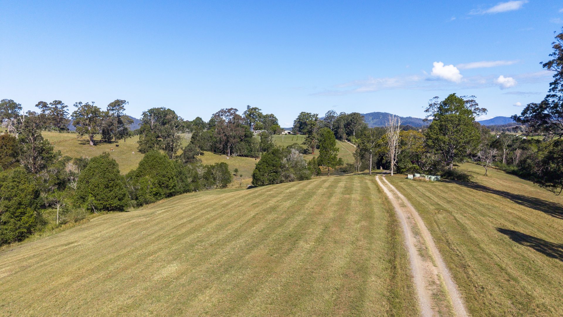 Sold - 309 Lower Buckra Bendinni Road - New Property in Buckra Bendinni - Real Estate by Ashlee Downton