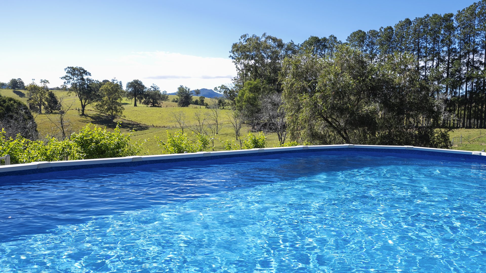 Sold - 309 Lower Buckra Bendinni Road - New Property in Buckra Bendinni - Real Estate by Ashlee Downton