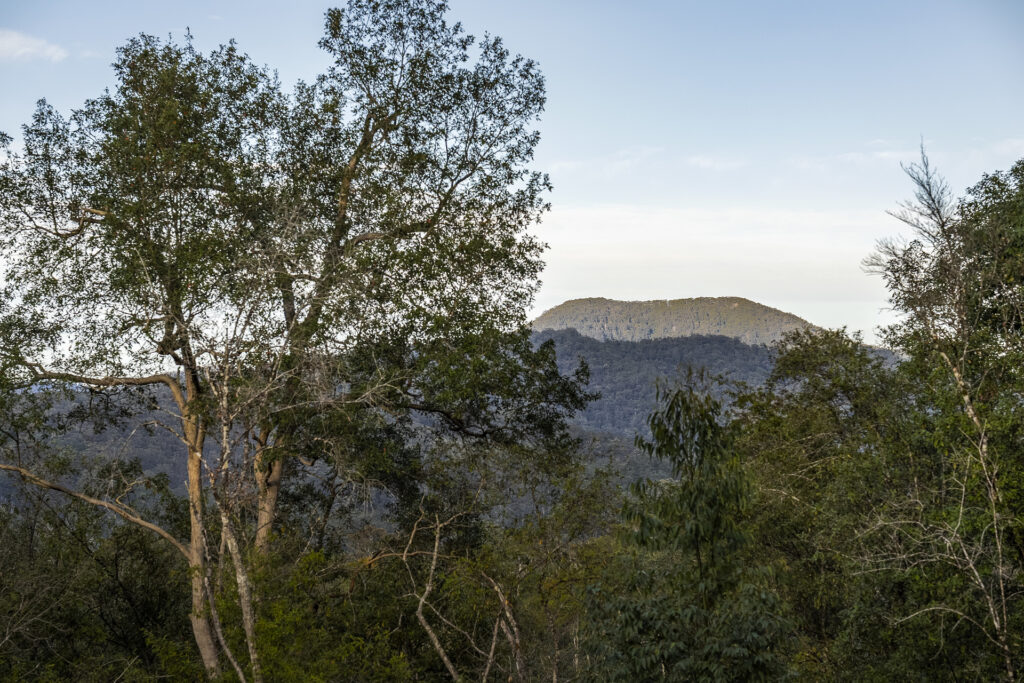 For Sale - 130 Kalang Road - New Property in Bellingen - Real Estate by Joshua Allen