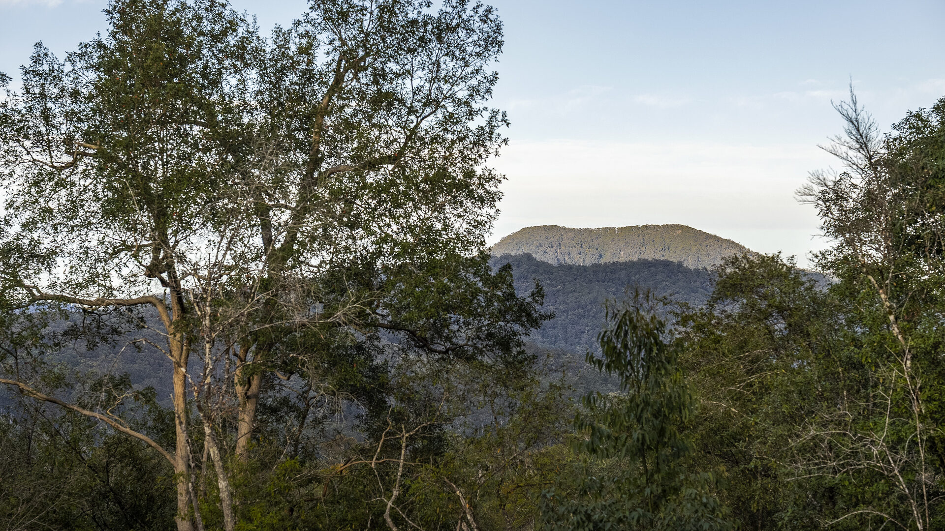 For Sale - 130 Kalang Road - New Property in Bellingen - Real Estate by Joshua Allen
