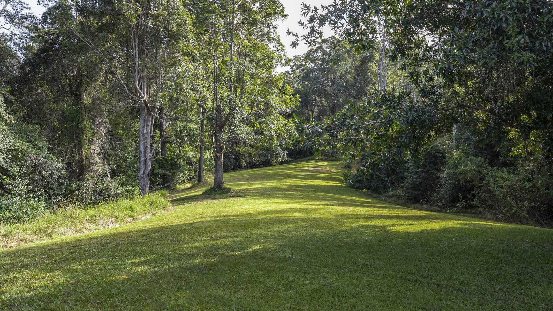 For Sale - 130 Kalang Road - New Property in Bellingen - Real Estate by Joshua Allen