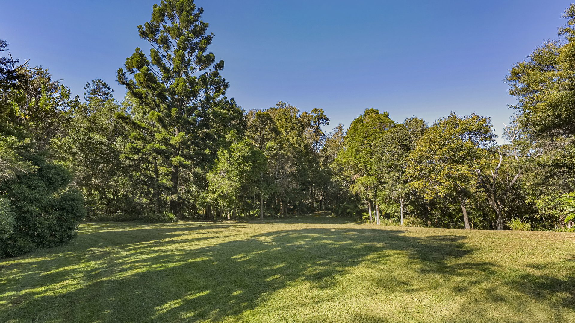 For Sale - 167 Burkes Lane - New Property in Valla - Real Estate by Ashlee Downton