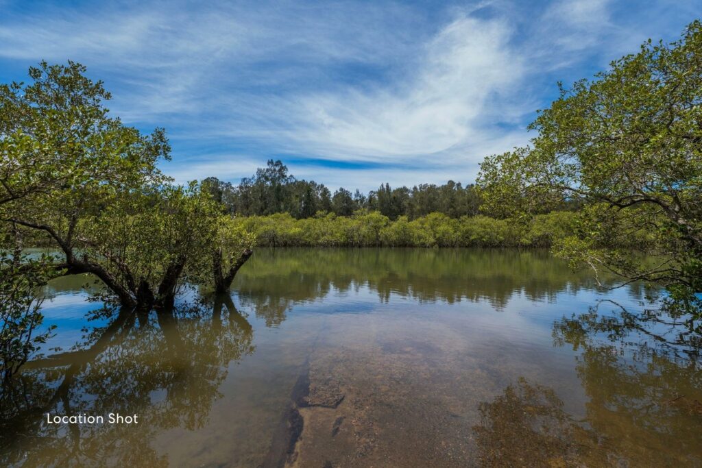 Sold - Site 18/539 Pacific Highway - New Property in Boambee - Real Estate by Rebecca Harrington