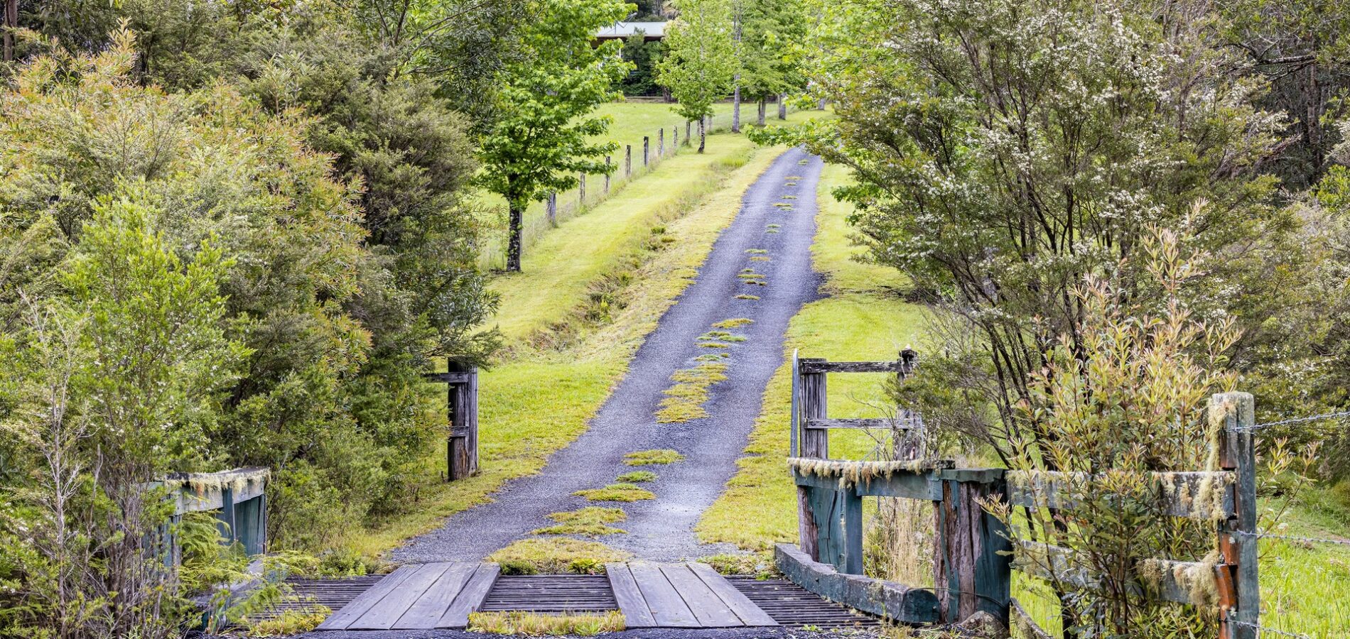 Sold - 1710 Eastern Dorrigo Way - New Property in Ulong - Real Estate by John Hall