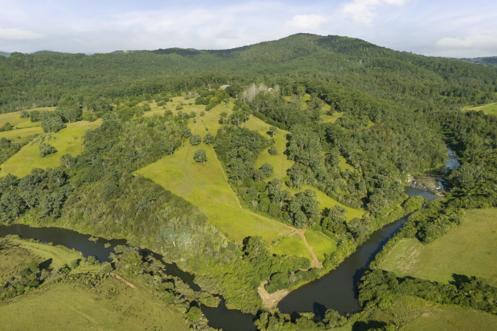 For Sale - 326 Billings Road - New Property in Tallowwood Ridge - Real Estate by Ashlee Downton