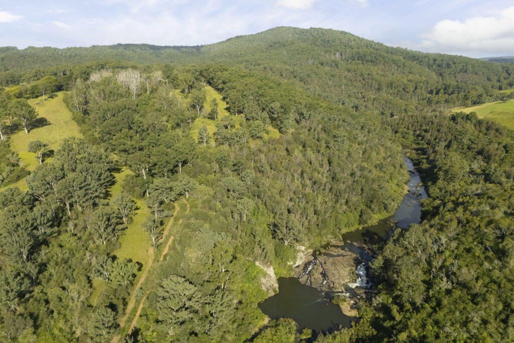 For Sale - 326 Billings Road - New Property in Tallowwood Ridge - Real Estate by Ashlee Downton