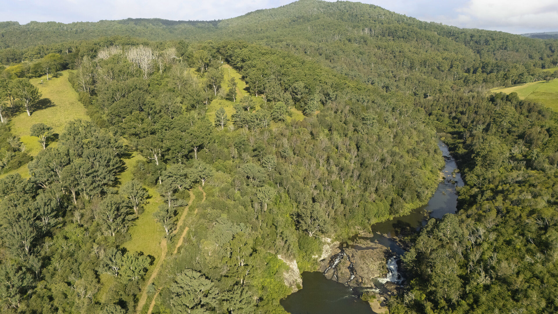 For Sale - 326 Billings Road - New Property in Tallowwood Ridge - Real Estate by Ashlee Downton