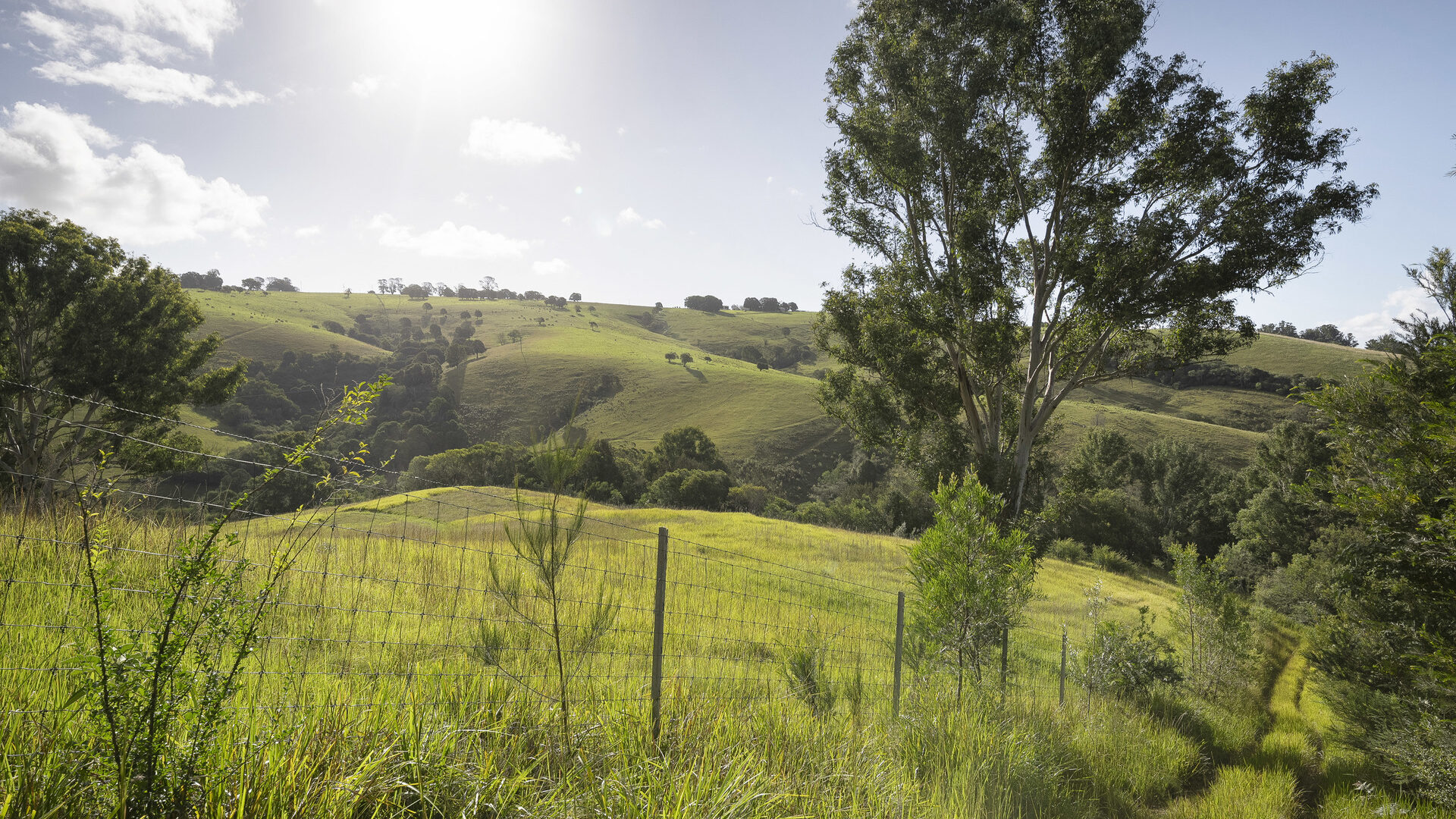 For Sale - 326 Billings Road - New Property in Tallowwood Ridge - Real Estate by Ashlee Downton
