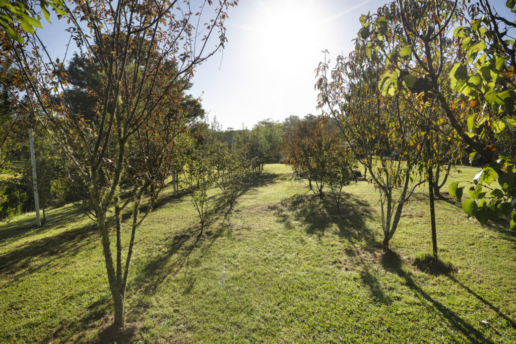 For Sale - 326 Billings Road - New Property in Tallowwood Ridge - Real Estate by Ashlee Downton