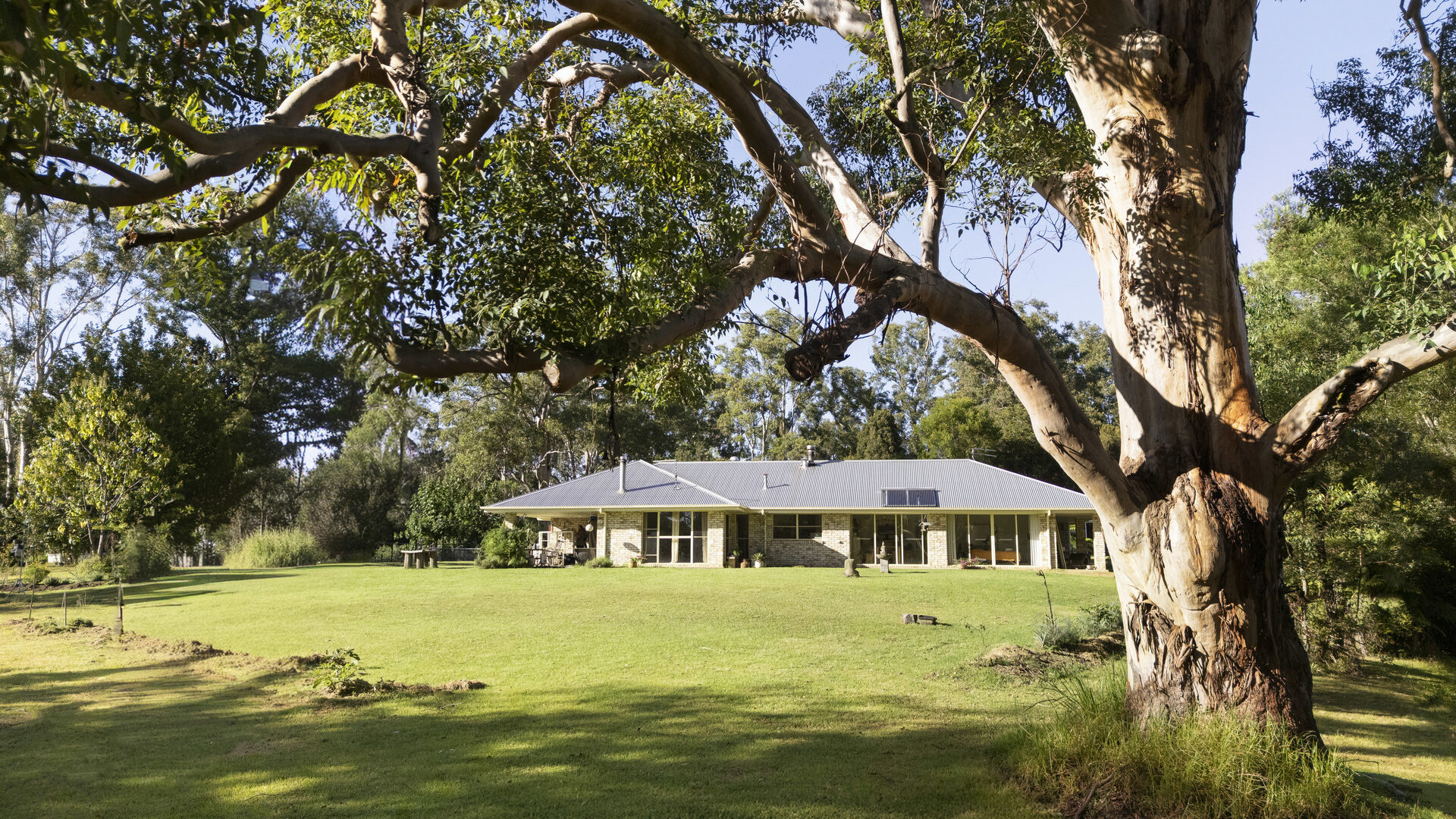 For Sale - 326 Billings Road - New Property in Tallowwood Ridge - Real Estate by Ashlee Downton