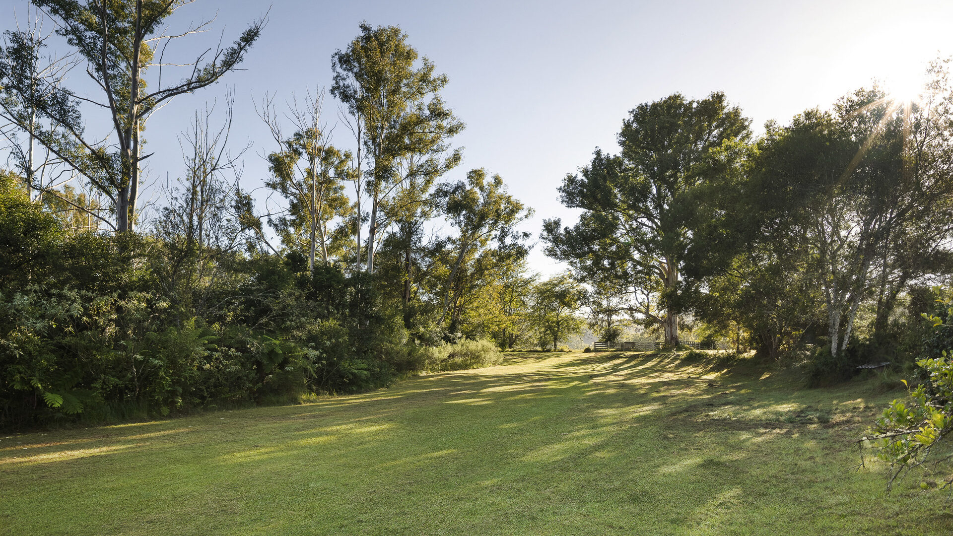 For Sale - 326 Billings Road - New Property in Tallowwood Ridge - Real Estate by Ashlee Downton