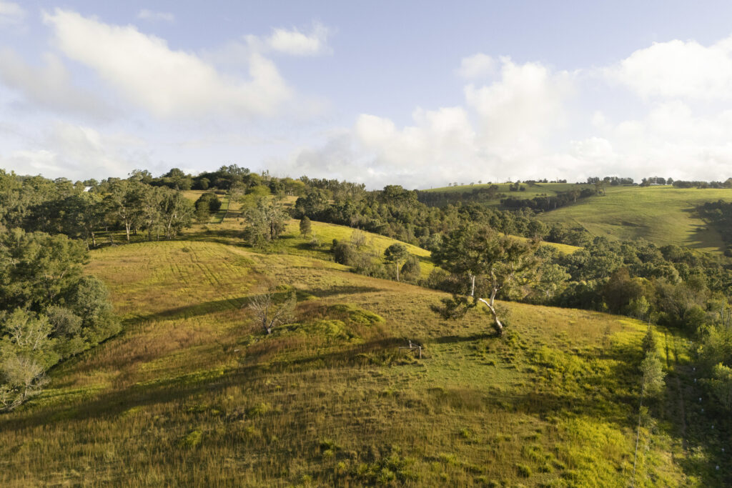 For Sale - 326 Billings Road - New Property in Tallowwood Ridge - Real Estate by Ashlee Downton