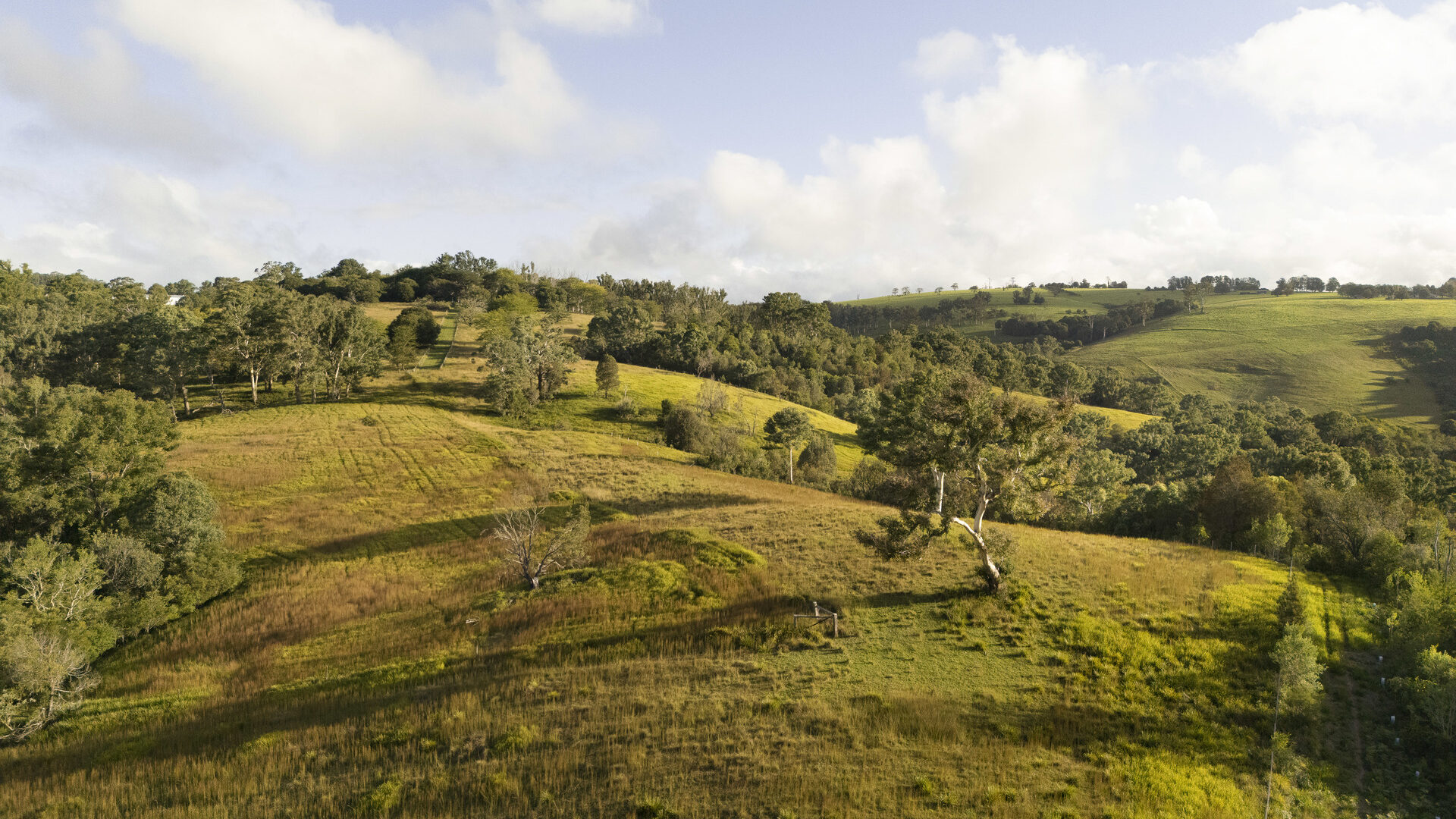 For Sale - 326 Billings Road - New Property in Tallowwood Ridge - Real Estate by Ashlee Downton