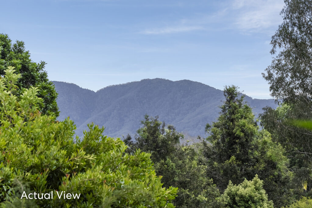 For Sale - 16 Tibouchina Close - New Property in Bellingen - Real Estate by Troy Pinder