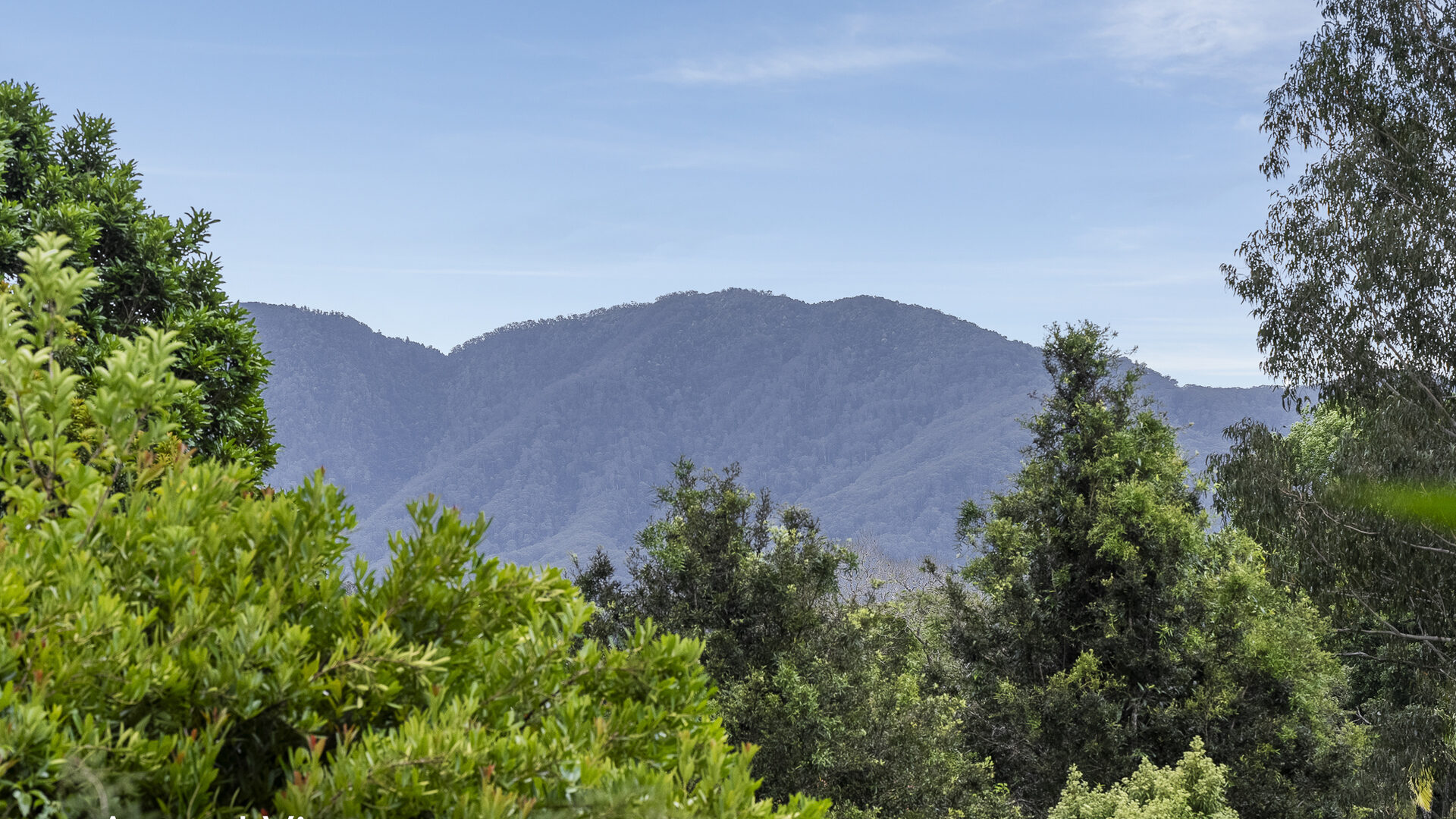 For Sale - 16 Tibouchina Close - New Property in Bellingen - Real Estate by Troy Pinder