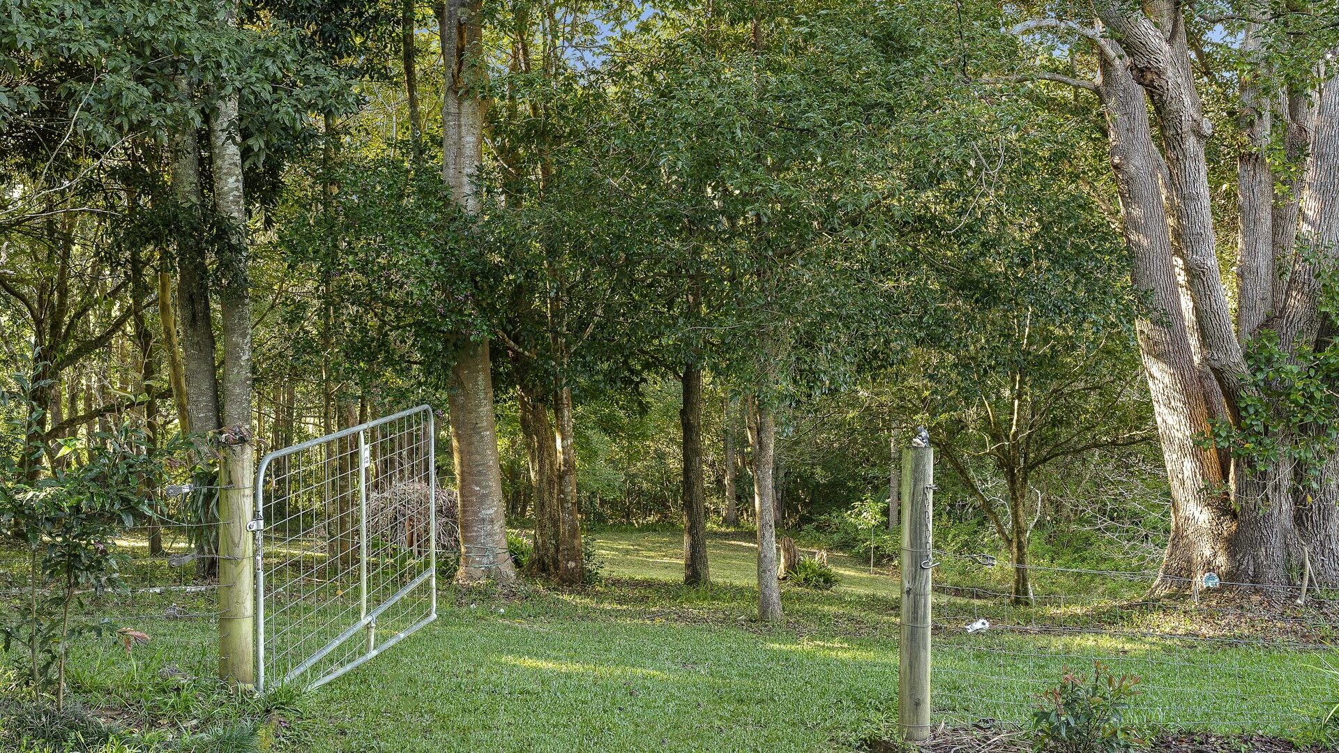 For Sale - 2 Tibouchina Close - New Property in Bellingen - Real Estate by Joshua Allen